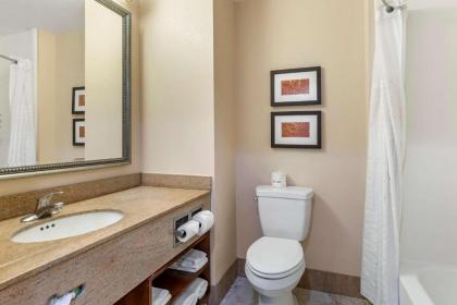 Comfort Suites Leesburg - image 9