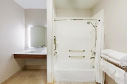 Holiday Inn Express & Suites - Lenexa - Overland Park Area an IHG Hotel - image 7