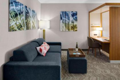 SpringHill Suites by Marriott Kansas City Lenexa/City Center - image 13