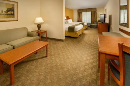 Holiday Inn Express Hotel & Suites Lenoir City Knoxville Area an IHG Hotel - image 10