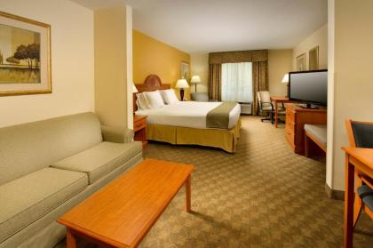 Holiday Inn Express Hotel & Suites Lenoir City Knoxville Area an IHG Hotel - image 11