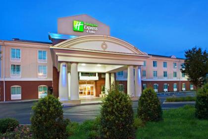 Holiday Inn Express Hotel & Suites Lenoir City Knoxville Area an IHG Hotel - image 18