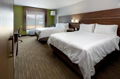 Holiday Inn Express Hotel & Suites Lenoir City Knoxville Area an IHG Hotel - image 2