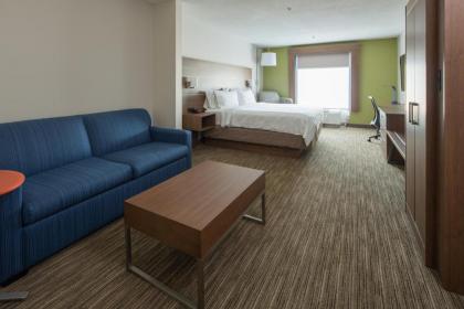 Holiday Inn Express Hotel & Suites Lenoir City Knoxville Area an IHG Hotel - image 3