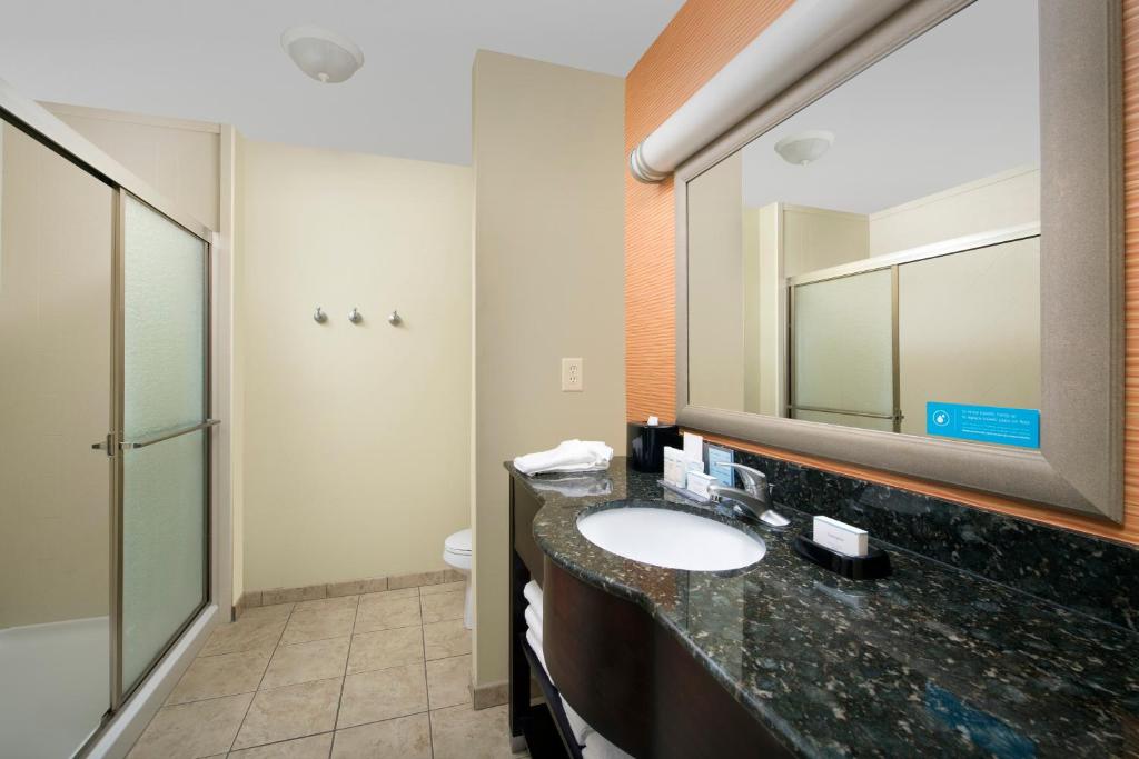 Hampton Inn Lenoir City - image 5