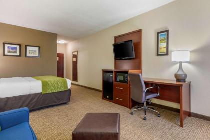 Comfort Inn Lenoir City - image 10