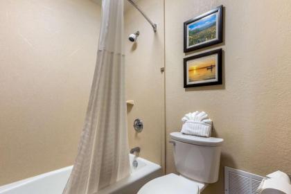 Comfort Inn Lenoir City - image 14