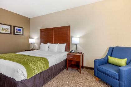 Comfort Inn Lenoir City - image 15