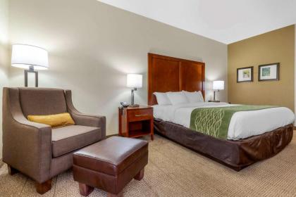 Comfort Inn & Suites Lenoir Hwy 321 Northern Foothills - image 15