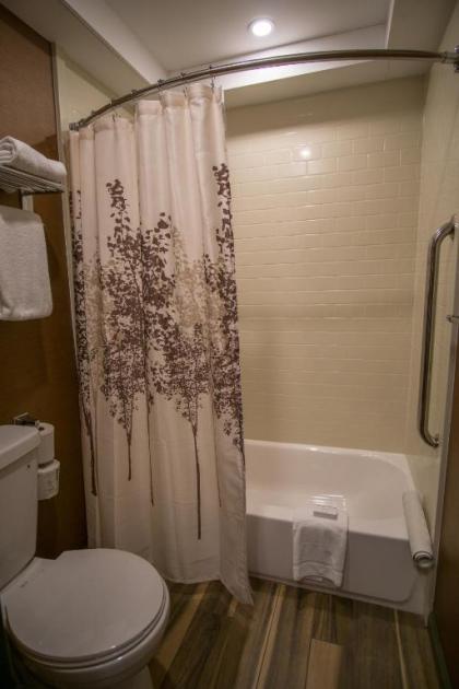 Yankee Inn - image 11