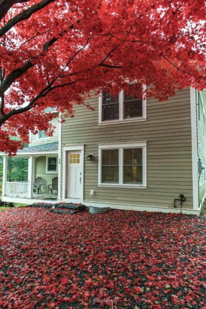 Restored 1881 Farm House - image 15