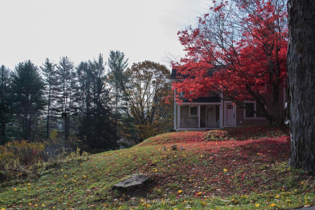 Restored 1881 Farm House - image 2