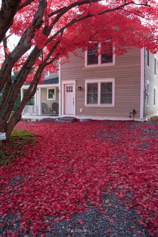 Restored 1881 Farm House - image 6