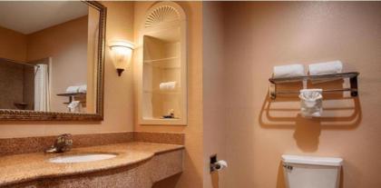 Best Western South Plains Inn & Suites - image 3