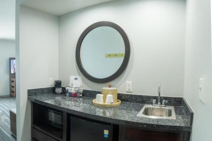 Hampton Inn and Suites Dallas/Lewisville-Vista Ridge Mall - image 8