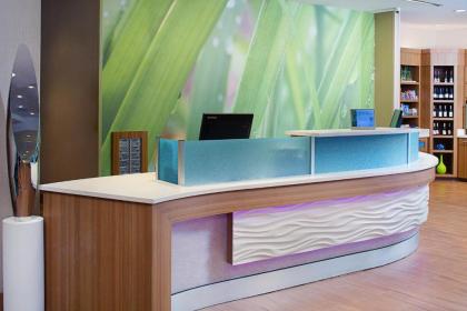 SpringHill Suites by Marriott Dallas Lewisville - image 14