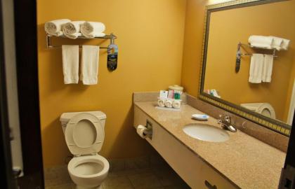 Holiday Inn Express Hotel & Suites Lexington-Hwy 378 an IHG Hotel - image 8