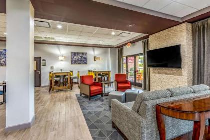 Comfort Suites Lexington - image 4