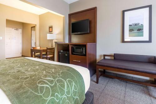 Comfort Suites Keeneland - image 2