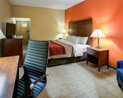 Comfort Inn Lexington Southeast - image 3