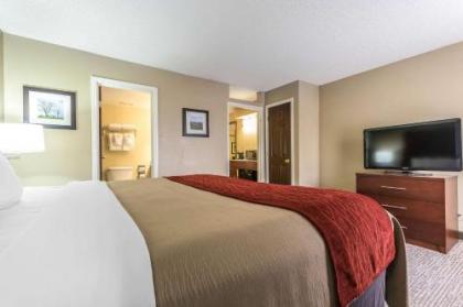 Comfort Inn & Suites Lexington - image 2