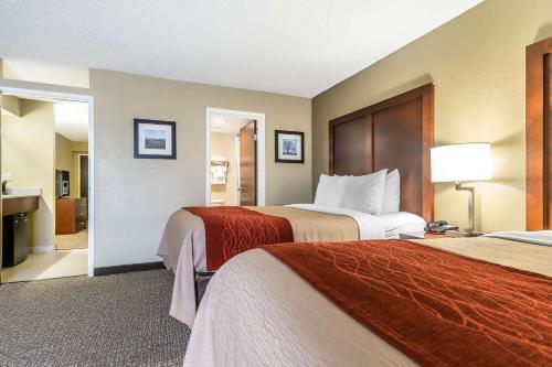 Comfort Inn & Suites Lexington - image 3