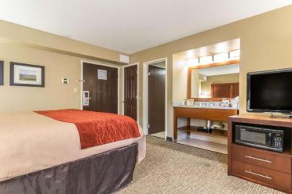 Comfort Inn & Suites Lexington - image 5