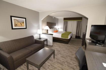 Best Western Plus Liberal Hotel & Suites - image 7