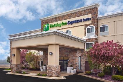 Holiday Inn Express Hotel  Suites Chicago Libertyville an IHG Hotel Libertyville