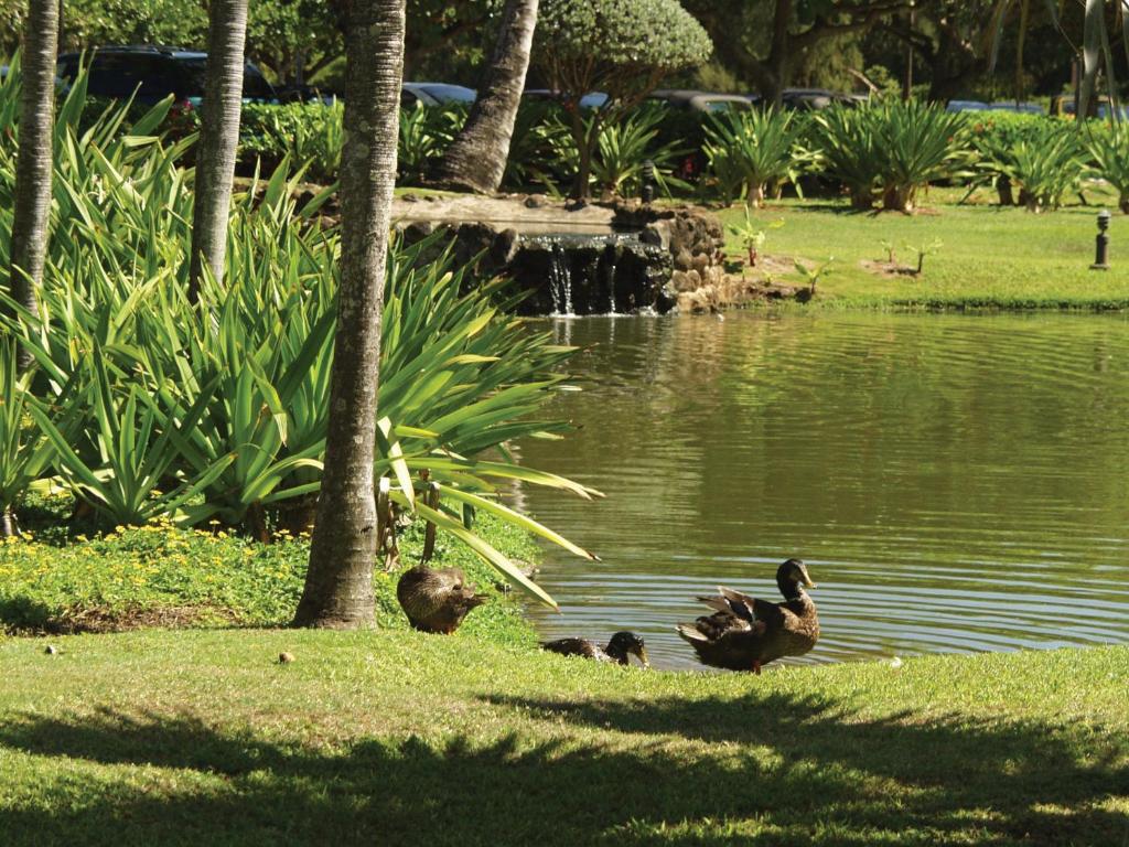 Kauai Beach Villas - image 6