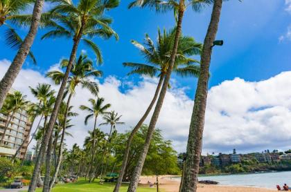 Banyan Harbor K132 At Kalapaki Beach Condo - image 10