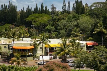 Kauai Banyan Harbor by Coldwell Banker Island Vacations - image 5