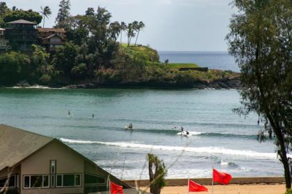 Kauai Banyan Harbor by Coldwell Banker Island Vacations - image 9