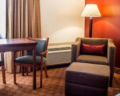 Comfort Inn Lima - image 11