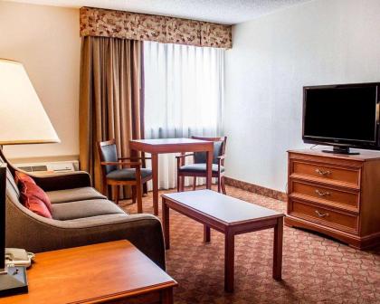 Comfort Inn Lima - image 8