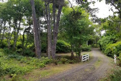 Fernglen Forested Beach Retreat - image 8