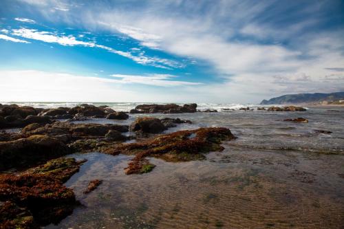 The Coho Oceanfront Lodge - image 5