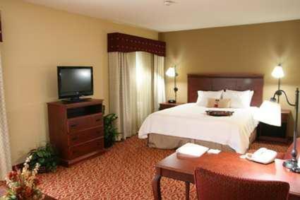 Hampton Inn Lincoln - image 6