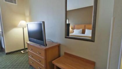 Holiday Inn Express Hotel & Suites Lincoln South an IHG Hotel - image 4