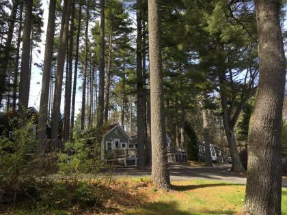 Pine Grove Cottages Maine