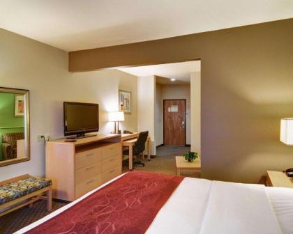 Comfort Suites Lindale - image 12