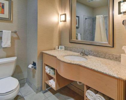 Comfort Suites Lindale - image 2