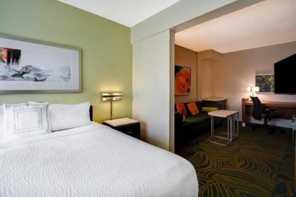 SpringHill Suites by Marriott Baltimore BWI Airport - image 13