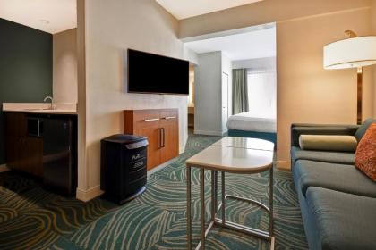 SpringHill Suites by Marriott Baltimore BWI Airport - image 4