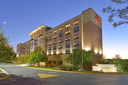 Sheraton Baltimore Washington Airport - BWI - image 15