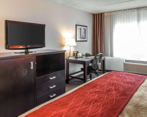 Comfort Inn & Suites Bwi Airport - image 4