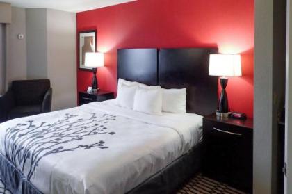 Sleep Inn & Suites BWI Airport - image 1