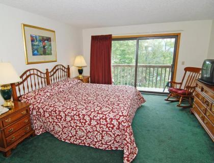 Comfy Villa in the Fresh Mountain Air of Banner Elk - Two Bedroom #1 - image 8