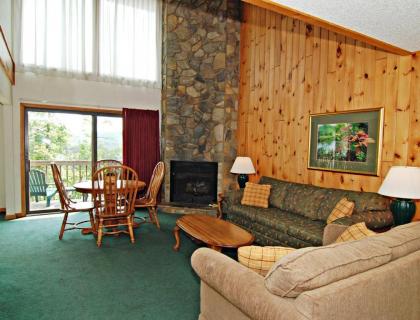 Comfy Villa in the Fresh Mountain Air of Banner Elk - Two Bedroom #1 - image 9