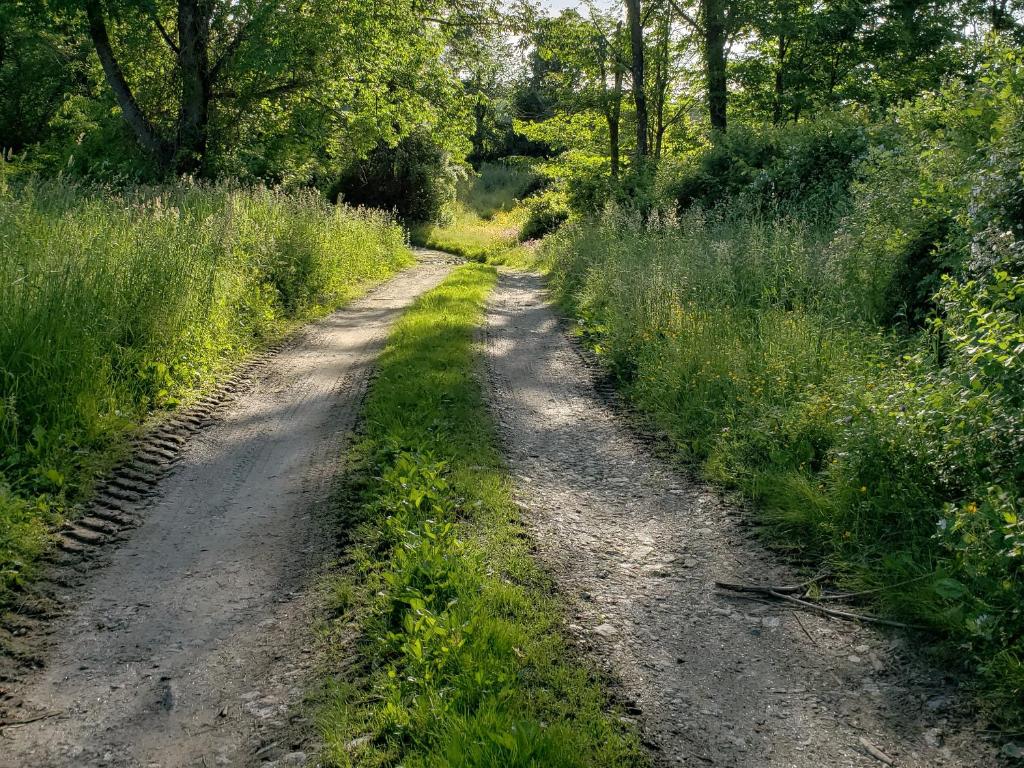 Tentrr - Meadow Ridge Farm Woods - image 6